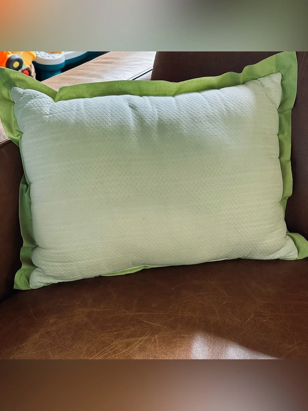 Floral Embroidered Lumbar Pillow Sage Green Ruffle Trim Boho Grandmillennial 16”